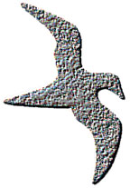 GugaEmbossed.jpg (15740 bytes)